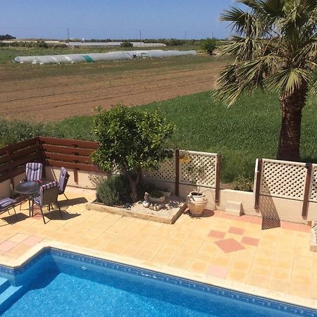 Quality Villa With Pool In Superb Location In Paphos Mandria  Extérieur photo